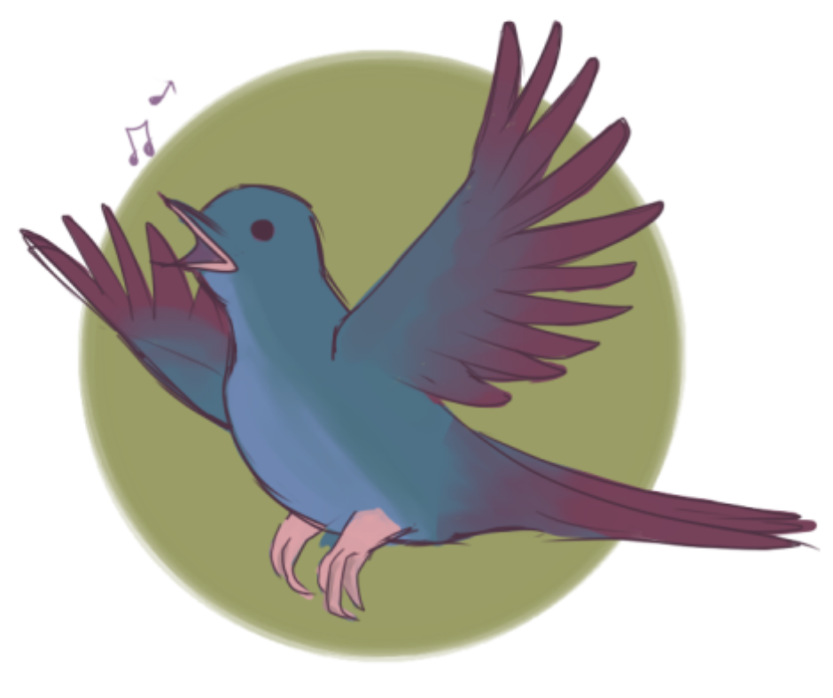 Tous les Oiseaux d'Europe | Tlode